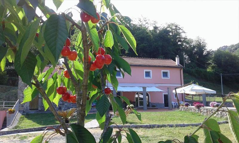 B&B La Casina Rosa La Spezia Valeriano Lunense Екстериор снимка