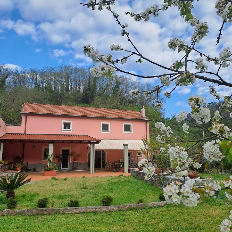 B&B La Casina Rosa La Spezia Valeriano Lunense Екстериор снимка